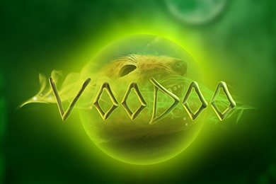 Слот Voodoo Сукааа Казино